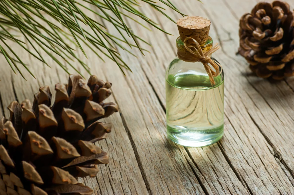 Terpentin Turpentine Liquid